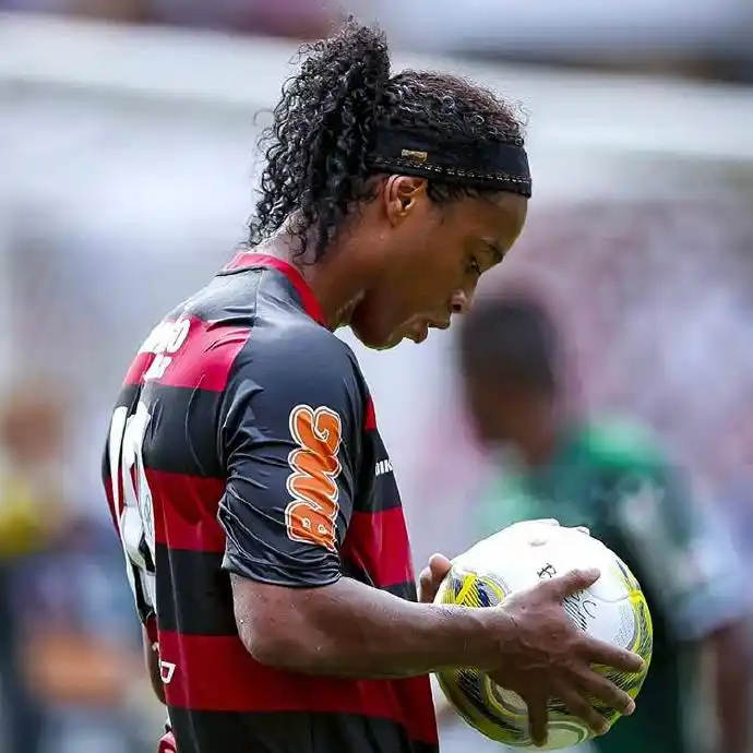 的武士藍精 的武士藍精